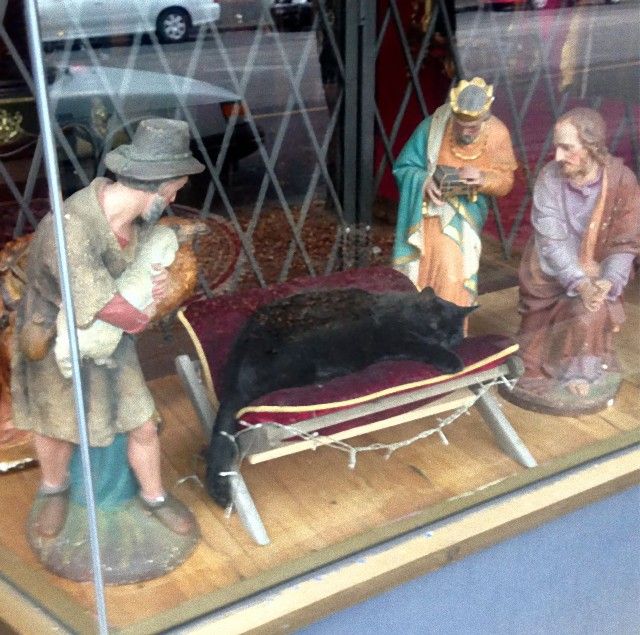 cats-crashing-nativity-scenes-137-5a27eccccfad9__605_e
