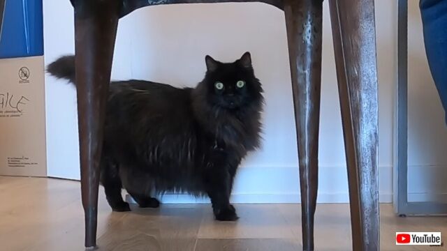 20220521_033412_batch