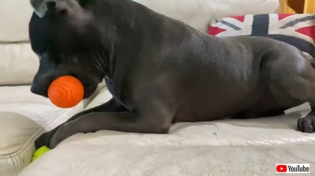 20220809_044102 (2)_batch