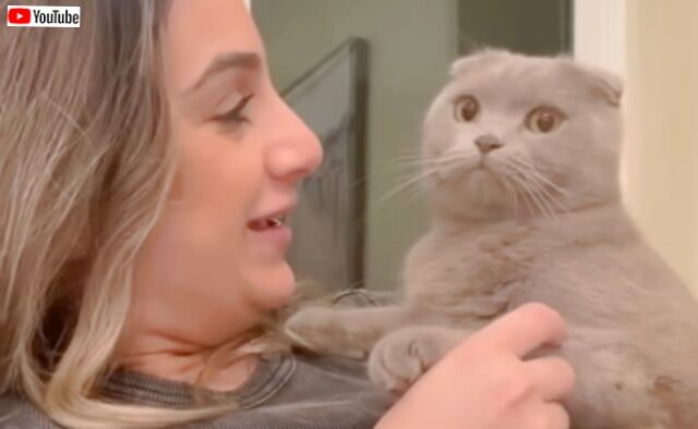 愛猫に向かって「あなたが好きなの子はだぁれ？」と他の猫たちの名前を呼んでみた。それぞれ違う反応を見せた
