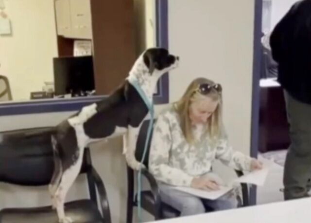 20240130_031153_batch