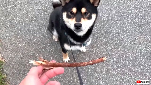 aawwwaw0_640