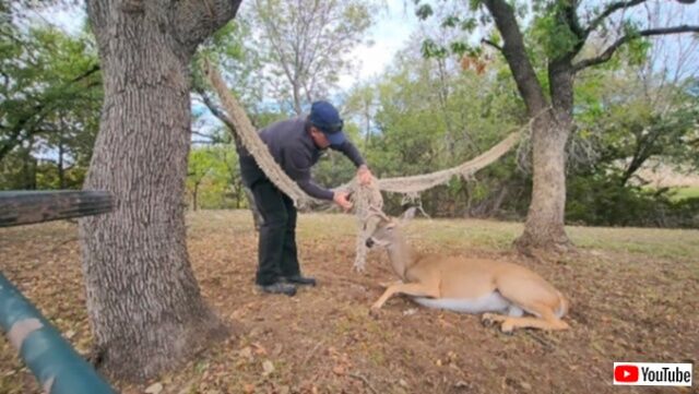 20231025_221758 (6)_batch