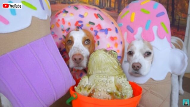 20231103_212923 (5)_batch