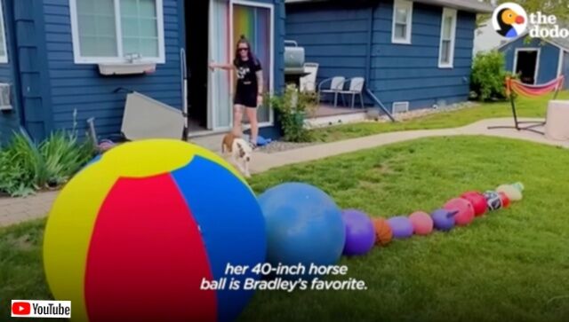 20230727_212310 (3)_batch