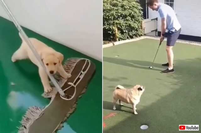 20220827_195305 (3)_batch