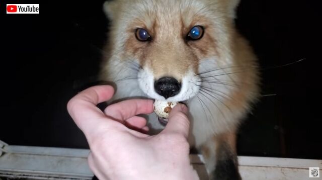 20220408_005257 (4)_batch