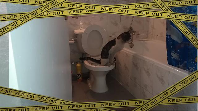 cattoilet-3 [www-frame