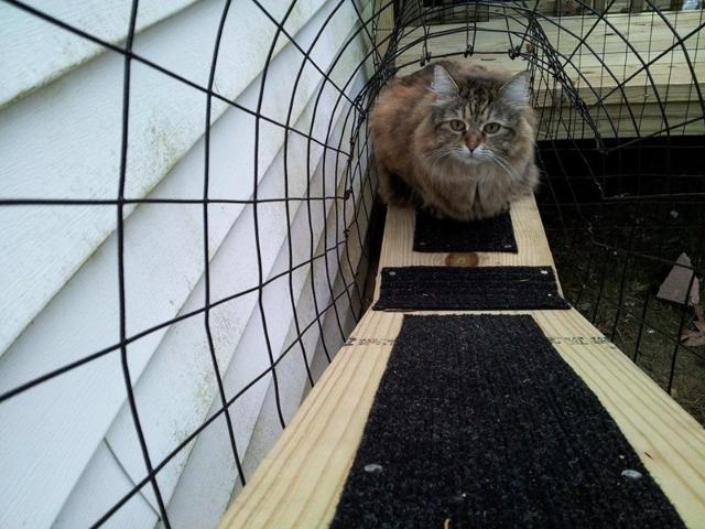 net]