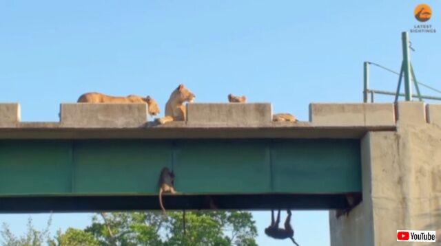 20230621_011824 (3)_batch