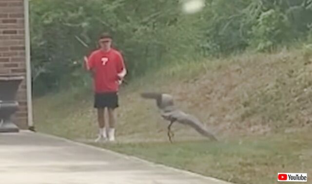 20230831_210349 (5)_batch