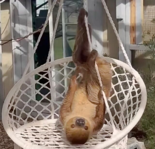 20230223_114537 (3)_batch