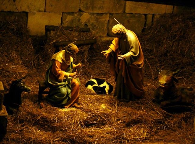 cats-crashing-nativity-scenes-132-5a27e4c6e8ac2__605_e