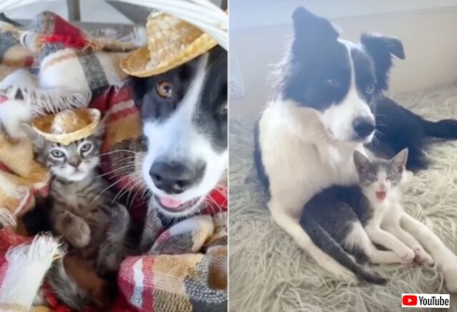 20230509_114003_batch