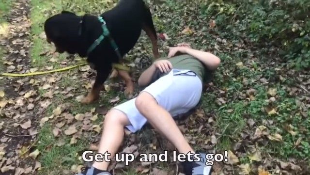 rottweiler14_e