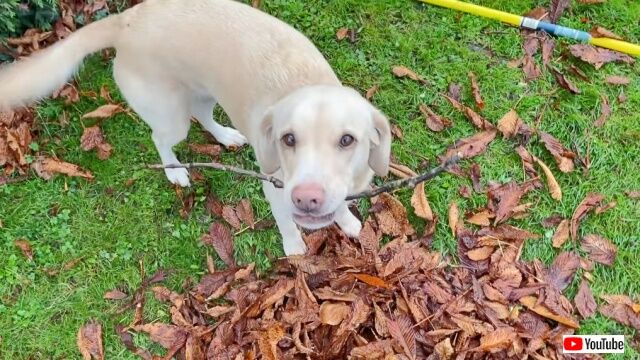 20221209_004719 (2)_batch