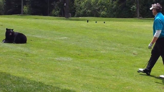 dropped64