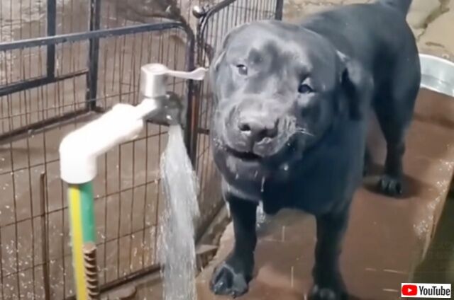 20231112_064622 (5)_batch