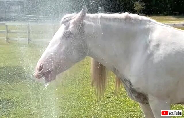 sprinkler0_640