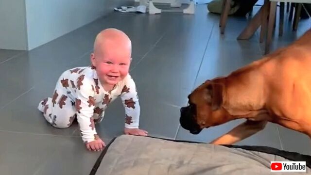 babieslaughing5-05