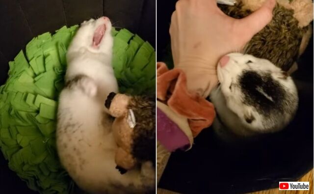 20220412_083930 (14)_batch