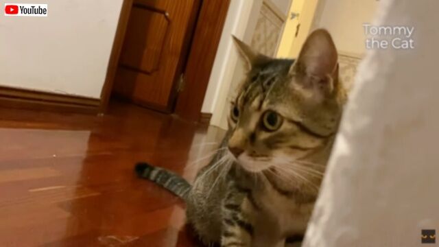 20230827_194857 (3)_batch