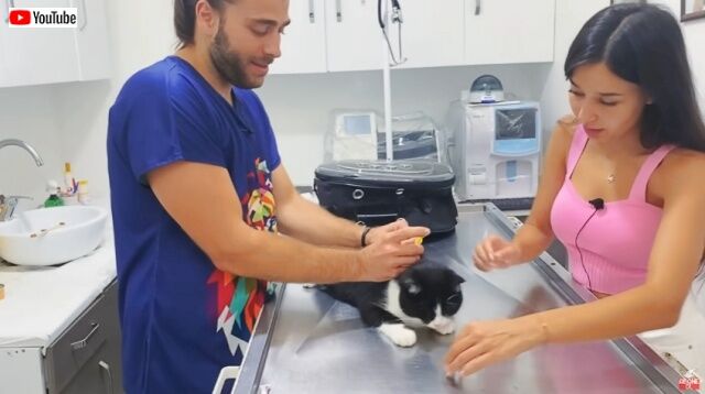 20220817_200403 (4)_batch