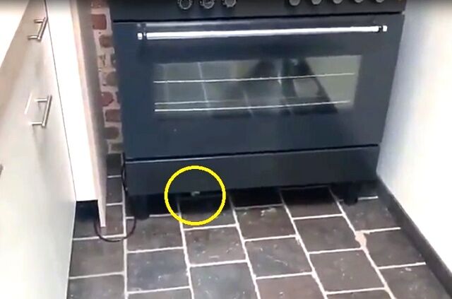 undertheoven1_640