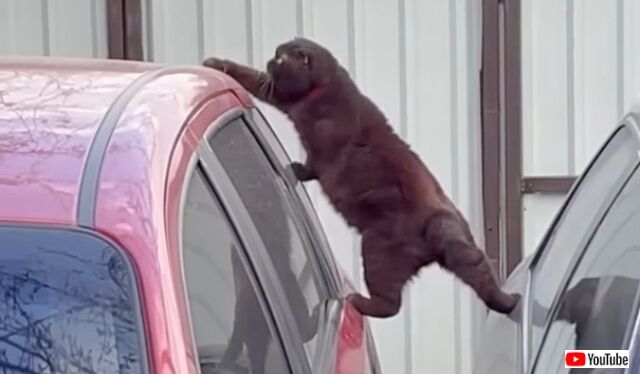 20221016_182127 (4)_batch