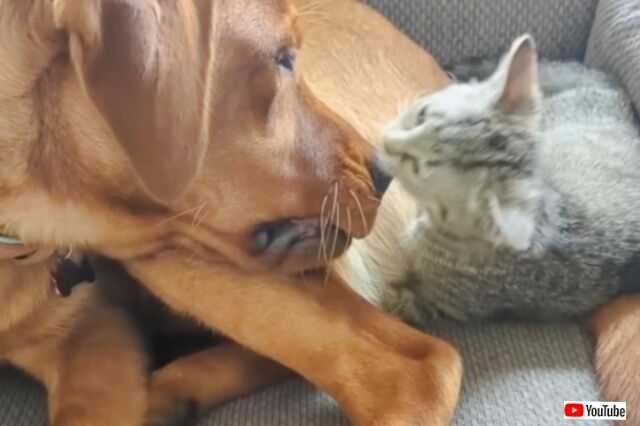 20230916_115538 (3)_batch