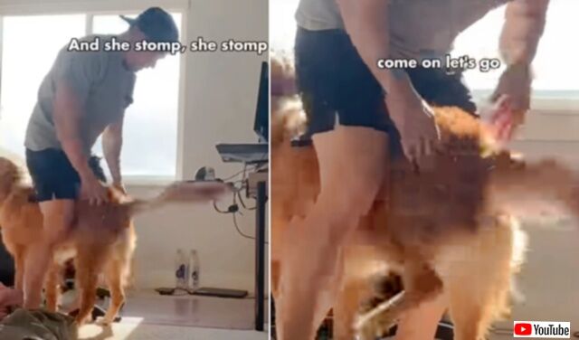 20230929_074609_batch