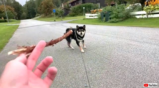 aawwwaw4_640