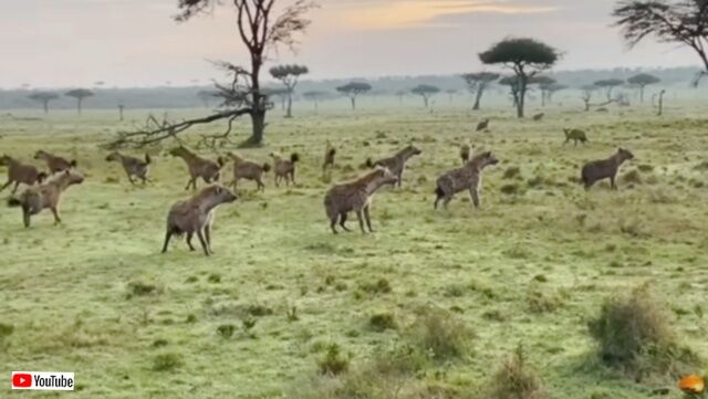 20231219_075623 (4)_batch