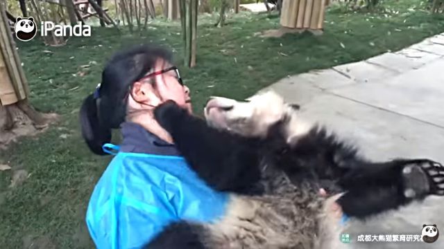 pandananny5
