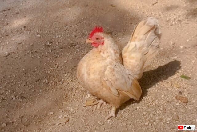 20230513_145013 (2)_batch