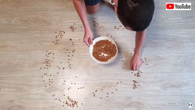 1000pieces1_640