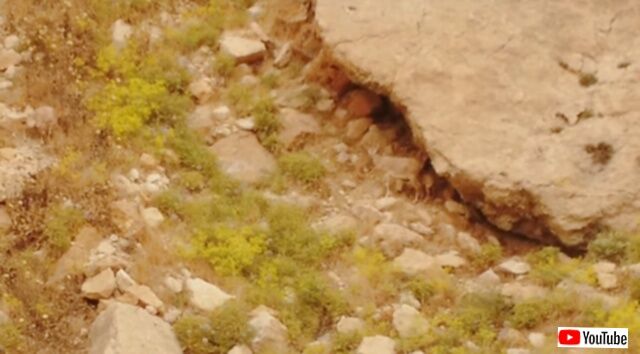 20230907_041921_batch