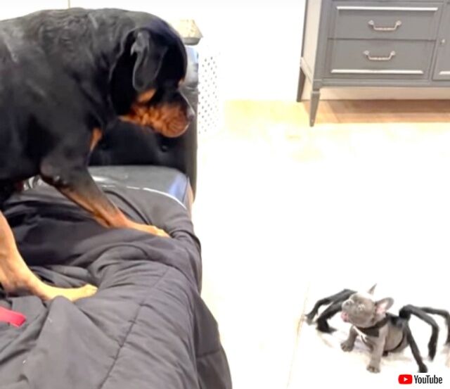 20221003_010805 (5)_batch