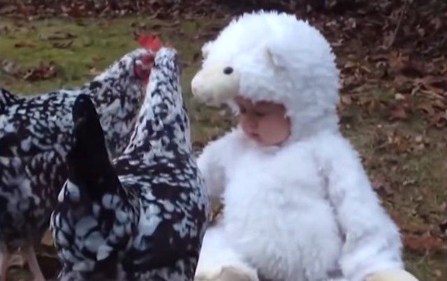 funnyanimalsnkids6_e