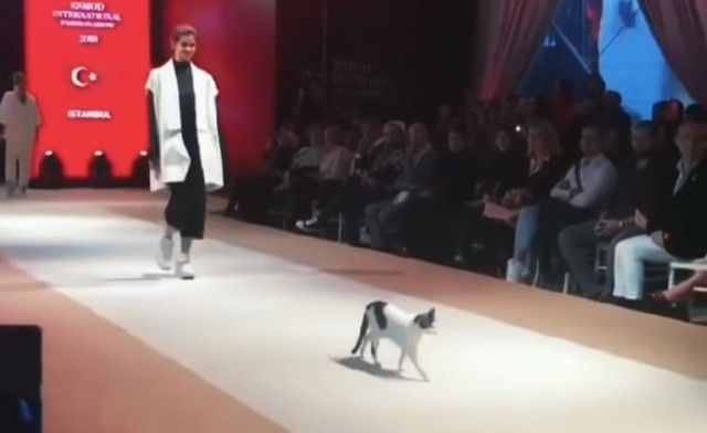 fashionshow0_e
