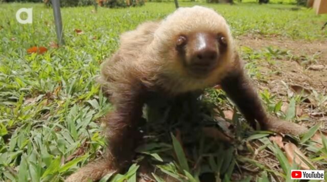 20230609_090339 (2)_batch