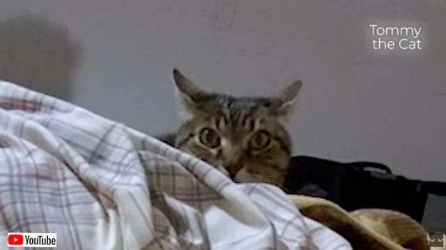 20230414_175243_batch