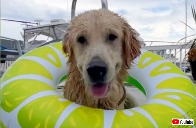 20231005_120854 (6)_batch