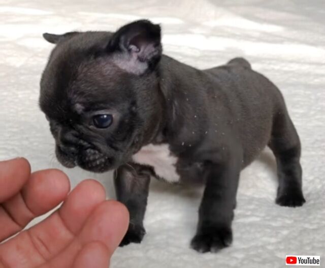 20231211_101555 (7)_batch