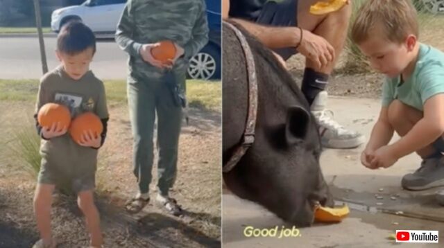 20231107_192713_batch