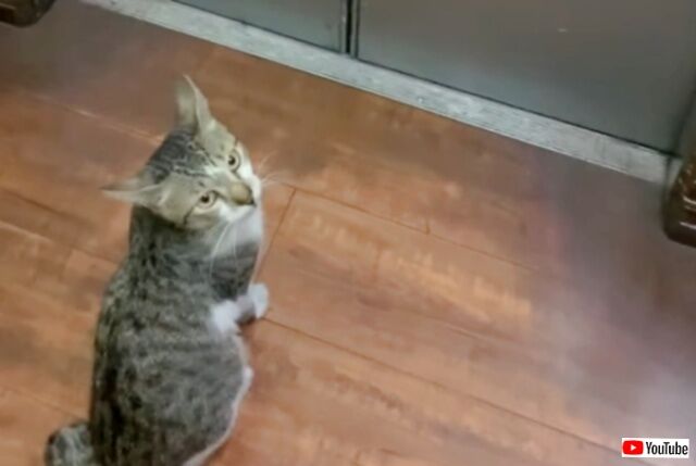 20230624_035748 (5)_batch