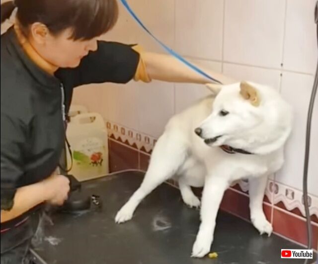 20230320_114354 (4)_batch