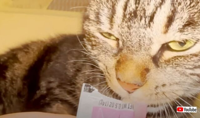 20240108_115921 (7)_batch