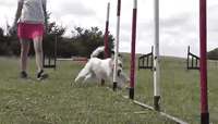 ollytraining