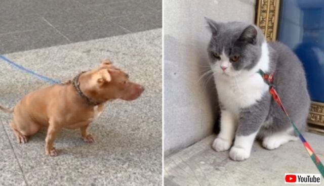 20240310_190246_batch